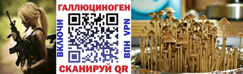 Галлюциногенные грибы MAGIC MUSHROOMS  Купить  Надым 